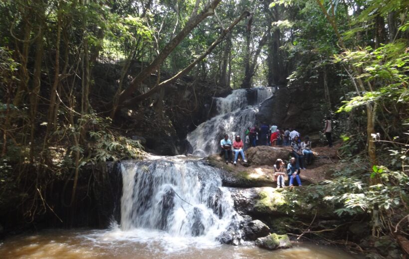 1 Day Karura Forest Park tour