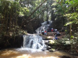 1 Day Karura Forest Park tour