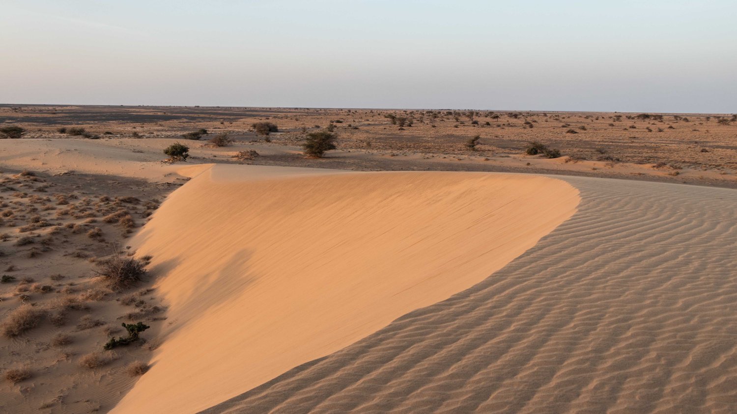 Chalbi Desert: Kenya's geological wonders